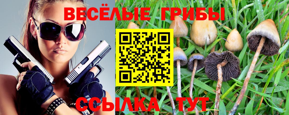 Галлюциногенные грибы мицелий  даркнет сайт  Кореновск  Вход с VPN 